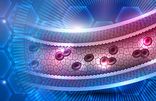 Artery Health Home Test Kit UK